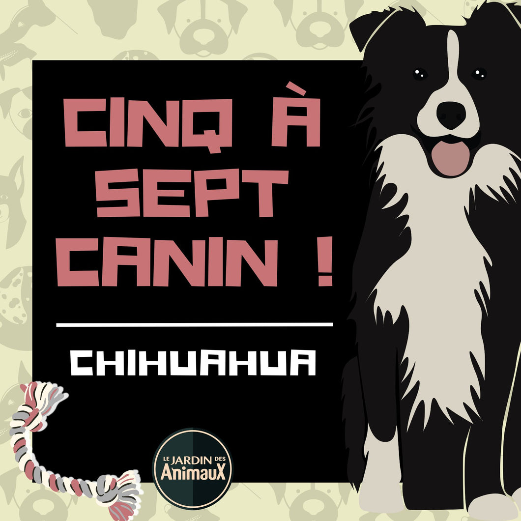 Frais d'inscription à un 5 à 7 - regroupement de race de chiens