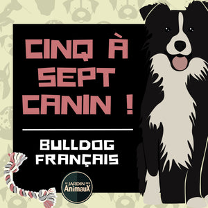 Frais d'inscription à un 5 à 7 - regroupement de race de chiens