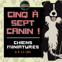 Load image into Gallery viewer, 5 à 7 - Frais d&#39;inscription à un regroupement par tailles de chien
