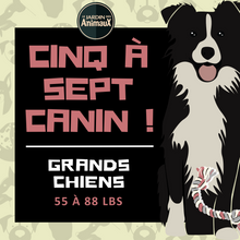 Load image into Gallery viewer, 5 à 7 - Frais d&#39;inscription à un regroupement par tailles de chien
