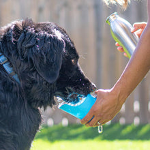 Load image into Gallery viewer, Grandes bouteilles d&#39;eau en acier inoxydable avec couvercle pour chien, capacité de 700 ml
