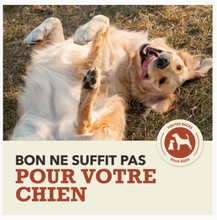 Load image into Gallery viewer, ACANA Chien Simple Recette De BŒUF Avec CITROUILLE
