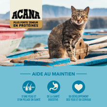 Load image into Gallery viewer, ACANA Chat Plus Forte Teneur En Protéines, Pacifica
