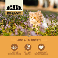 Load image into Gallery viewer, ACANA Chat Plus Forte Teneur En Protéines, Wild Prairie
