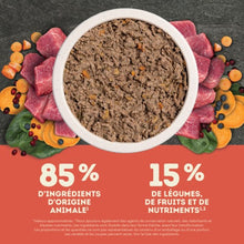 Load image into Gallery viewer, ACANA Chien Premium Pâté Boeuf 363 gr
