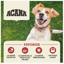 Load image into Gallery viewer, ACANA Chien Viande rouge Haut en Protéines
