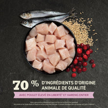 Load image into Gallery viewer, ACANA Chaton Premier festin
