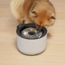 Load image into Gallery viewer, Abreuvoir intelligent Zeus Oasis Plus - Gris pâle
