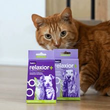 Load image into Gallery viewer, Baci+ Relaxior+ pour chien &amp; chat
