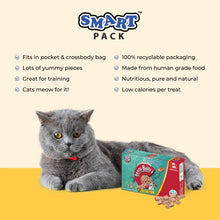 Load image into Gallery viewer, Benny Bully&#39;s Gâteries pour chat - Smart Packs Mini - Extrait de saumon et de romarin plus 18 gr
