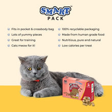 Load image into Gallery viewer, Benny Bully&#39;s Gâteries pour chat - Smart Packs Mini - Foie de boeuf avec canneberge 18 gr
