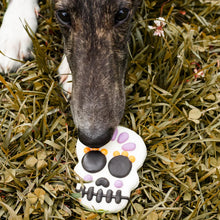 Load image into Gallery viewer, Crânes mignons et effrayants, biscuit de fantaisie pour chien | Halloween
