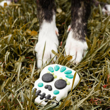 Load image into Gallery viewer, Crânes mignons et effrayants, biscuit de fantaisie pour chien | Halloween
