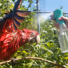 Load image into Gallery viewer, Brumisateur HARI de plumes - Contenance de 500 ml - Turquoise
