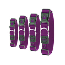 Load image into Gallery viewer, Bud'z Collier ajustable en nylon pour chien - Mauve
