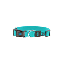 Load image into Gallery viewer, Bud'z Collier ajustable en nylon pour chien - Turquoise
