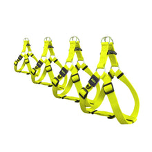 Load image into Gallery viewer, Bud'z Harnais ajustable en nylon pour chien - Jaune néon
