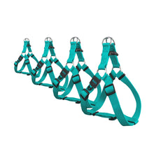 Load image into Gallery viewer, Bud'z Harnais ajustable en nylon pour chien - Turquoise
