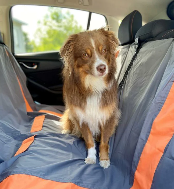 Bud'z Housse De Protection Pour Sièges D'auto, Gris Et Orange 53