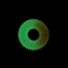 Load image into Gallery viewer, Bud'z Jouet en caoutchouc lumineux pour chien - Beigne à pointes - Orange - 12.5 cm
