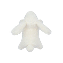 Load image into Gallery viewer, Bud'z Jouet en peluche compacte pour chien - Mini lapin
