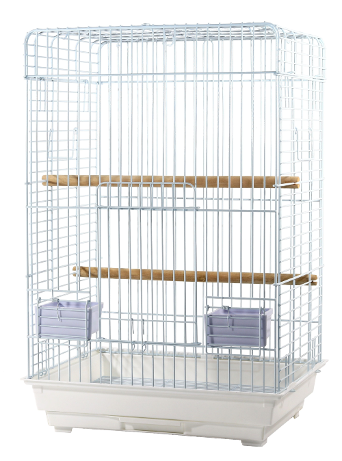 Cage Ginko pour petit perroquet, blanche