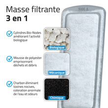 Load image into Gallery viewer, Cartouches filtrantes de polyester/charbon LIV Fluval - Paquet de 3
