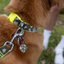 Charger l&#39;image dans la galerie, Marengo, Médaille d&#39;identification intelligente pour chien et chat-Motif avocat
