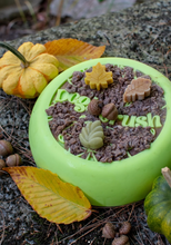 Load image into Gallery viewer, Dog&#39;s Crush -Bol ralentisseur pour chien - Lime
