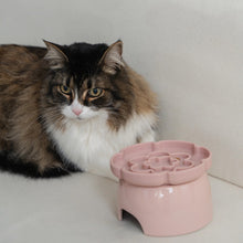 Load image into Gallery viewer, Dexypaws Bol surélevé en céramique pour chat 7.75 oz - Avec ralentisseur - Forme de fleur - Rose poudré
