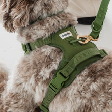 Load image into Gallery viewer, Dexypaws Harnais sans traction pour chien - Vert Camouflage

