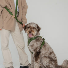 Load image into Gallery viewer, Dexypaws Laisse &quot;Mains Libre&quot; imperméable pour chien - Vert camouflage - 6 pieds
