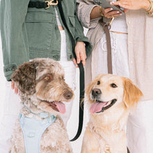 Load image into Gallery viewer, Dexypaws Laisse &quot;Mains Libre&quot; imperméable pour chien, Noir 6 pieds
