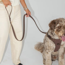 Load image into Gallery viewer, Dexypaws Laisse imperméable pour chien, Espresso 5 pieds
