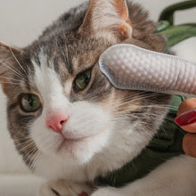 Load image into Gallery viewer, Dexypaws Lingettes doigt pour chat - Soins des yeux, oreilles &amp; nez - Sans parfum
