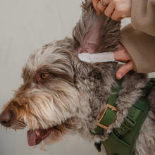 Load image into Gallery viewer, Dexypaws Lingettes doigt pour chien - Soins des yeux, oreilles &amp; nez - Sans parfum

