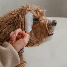 Load image into Gallery viewer, Dexypaws Lingettes doigt pour chien - Soins des yeux, oreilles &amp; nez - Sans parfum
