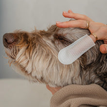 Load image into Gallery viewer, Dexypaws Lingettes doigt pour chien - Soins des yeux, oreilles &amp; nez - Sans parfum
