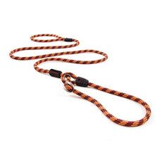 Load image into Gallery viewer, Ezydog Laisse Luca, Orange
