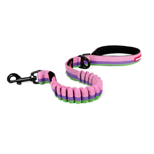 Ezydog Laisse Zero Shock, Bubble gum