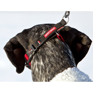 Ezydog Collier Checkmate, Rouge