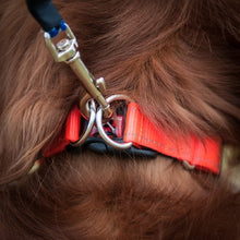 Charger l&#39;image dans la galerie, Ezydog Collier Double Up, Bleu
