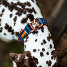 Load image into Gallery viewer, Ezydog Collier Double Up, Jeans
