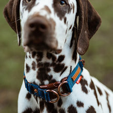 Load image into Gallery viewer, Ezydog Collier Double Up, Jeans
