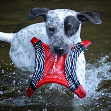 Load image into Gallery viewer, Ezydog Disque volant &quot;Dogstar&quot;, Rouge
