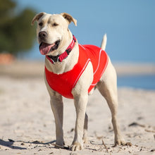 Load image into Gallery viewer, Ezydog Gilet avec protection UV Rashguard
