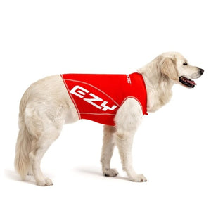 Ezydog Gilet avec protection UV Rashguard