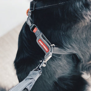 Ezydog Harnais "Crosscheck", Rouge
