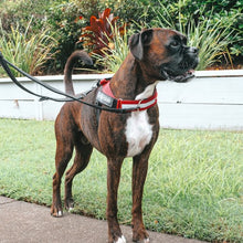 Load image into Gallery viewer, Ezydog Harnais &quot;Express&quot;, Bleu
