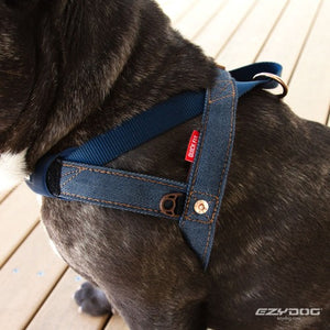 Ezydog Harnais "Quick Fit", Jeans